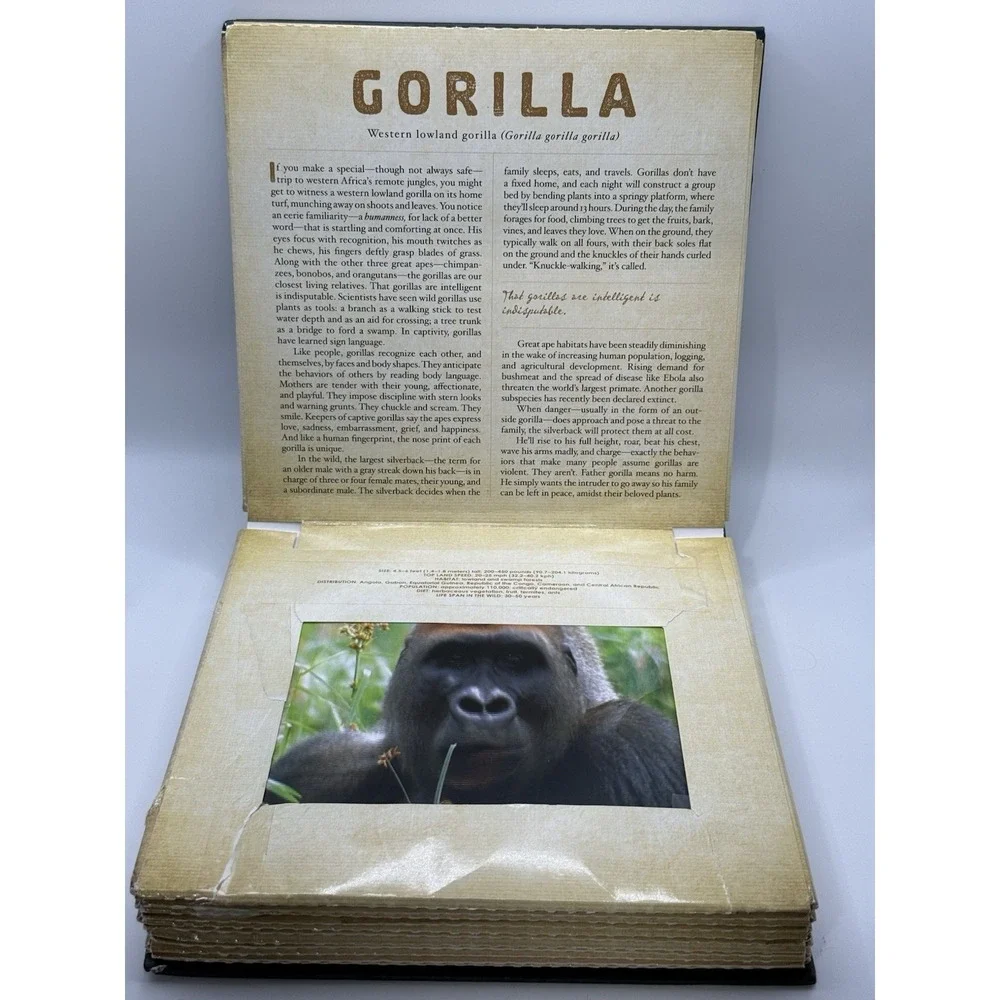 Safari : A Photicular Book by Carol Kaufmann and Dan Kainen (2012, Hardcover)